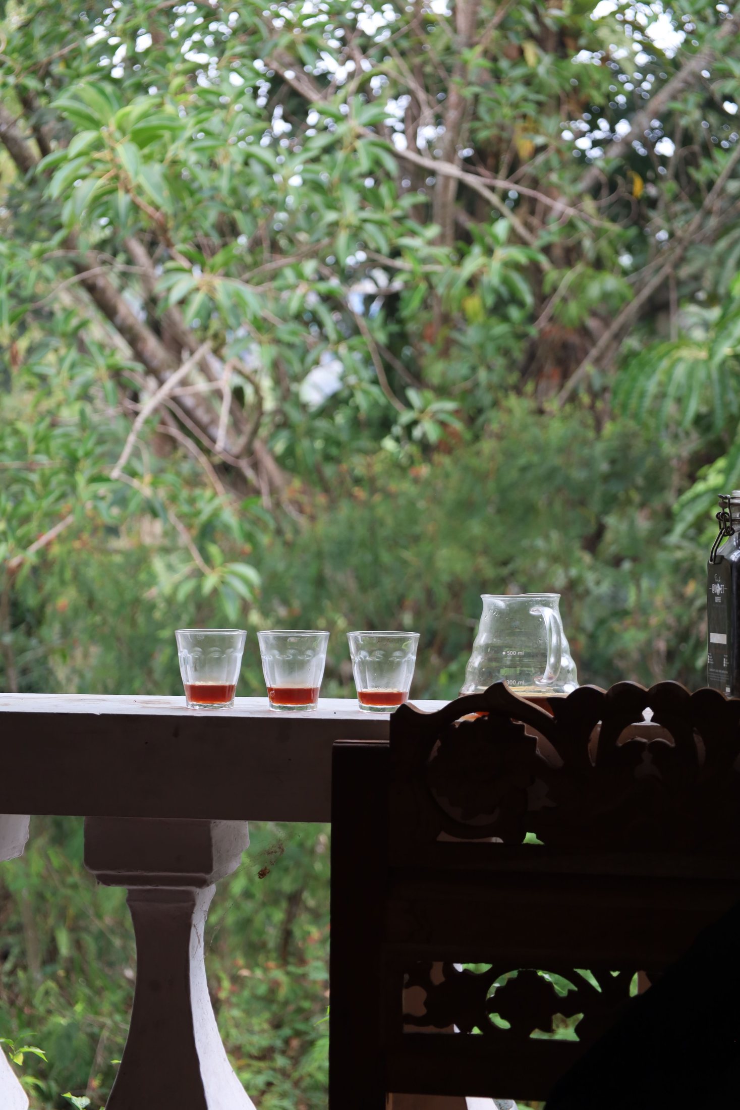 Suasana hijau di sekitar tempat belajar kopi
